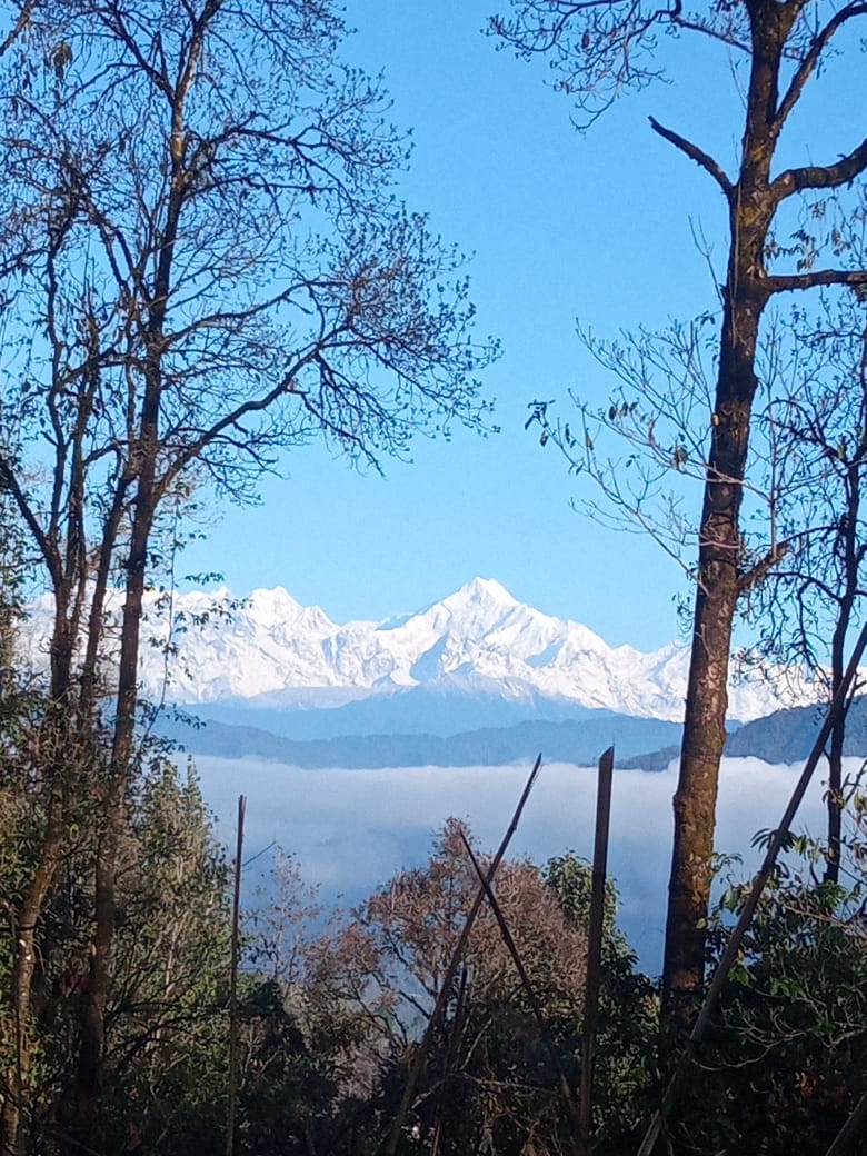 Aritar Main View