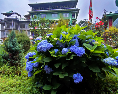 Silk Route Resort, Lingtam